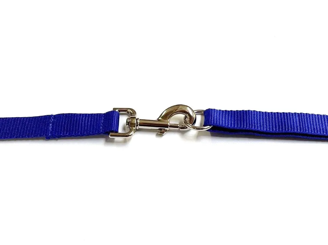 40ft - 100ft Long Dog Training Leads Obedience Recall Walking Leash Puppy In 20mm Webbing 19 Colours