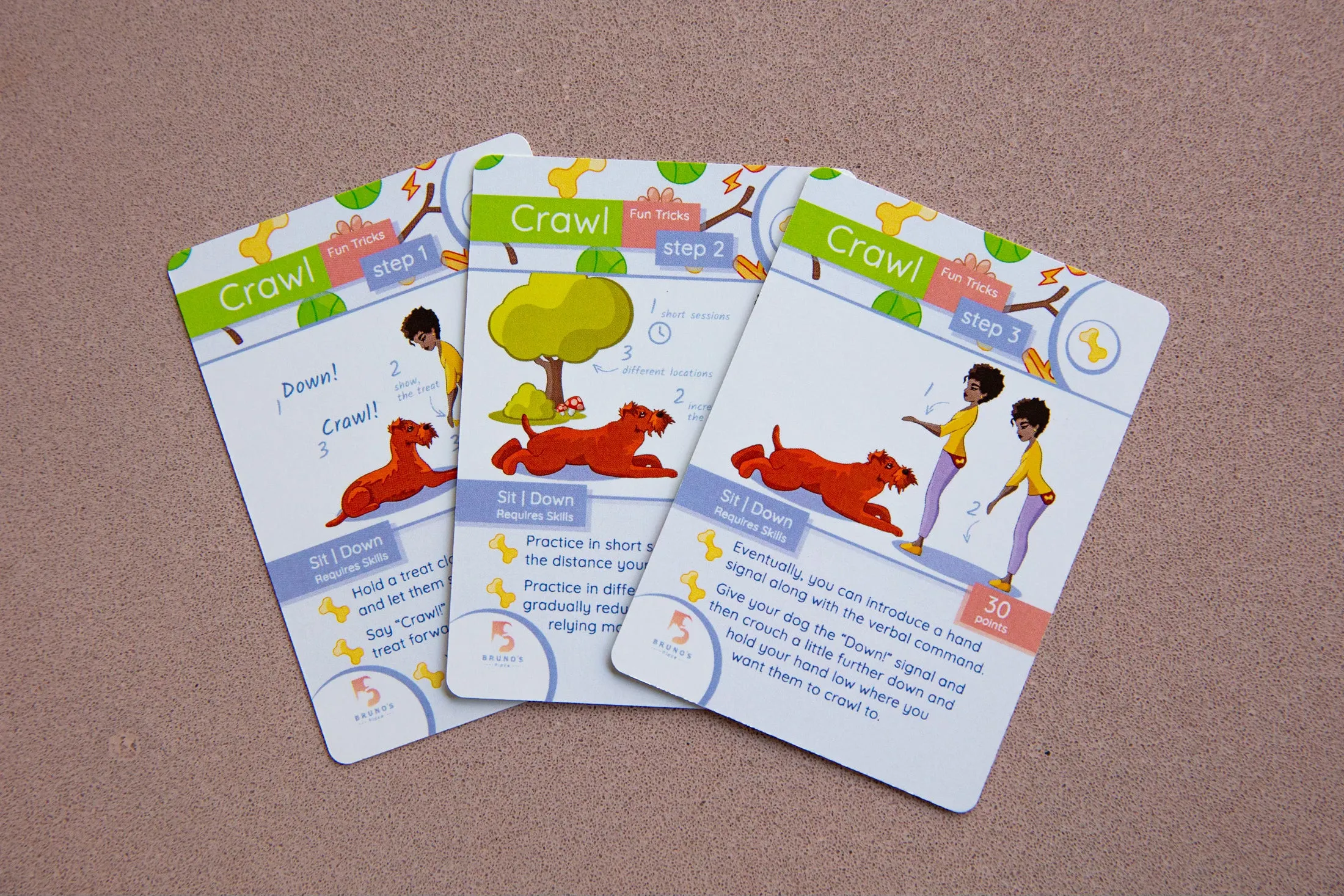 Bruno’s Pawsitive Dog Coaching Card Game