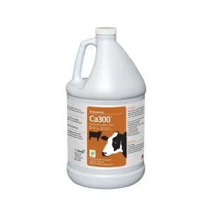 Ca300™ Direct Fed Microbial: Enhancing Cattle Health and Well-Being