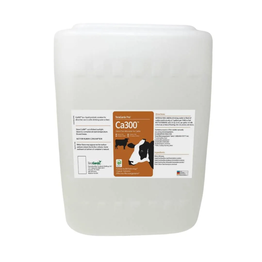 Ca300™ Direct Fed Microbial: Enhancing Cattle Health and Well-Being