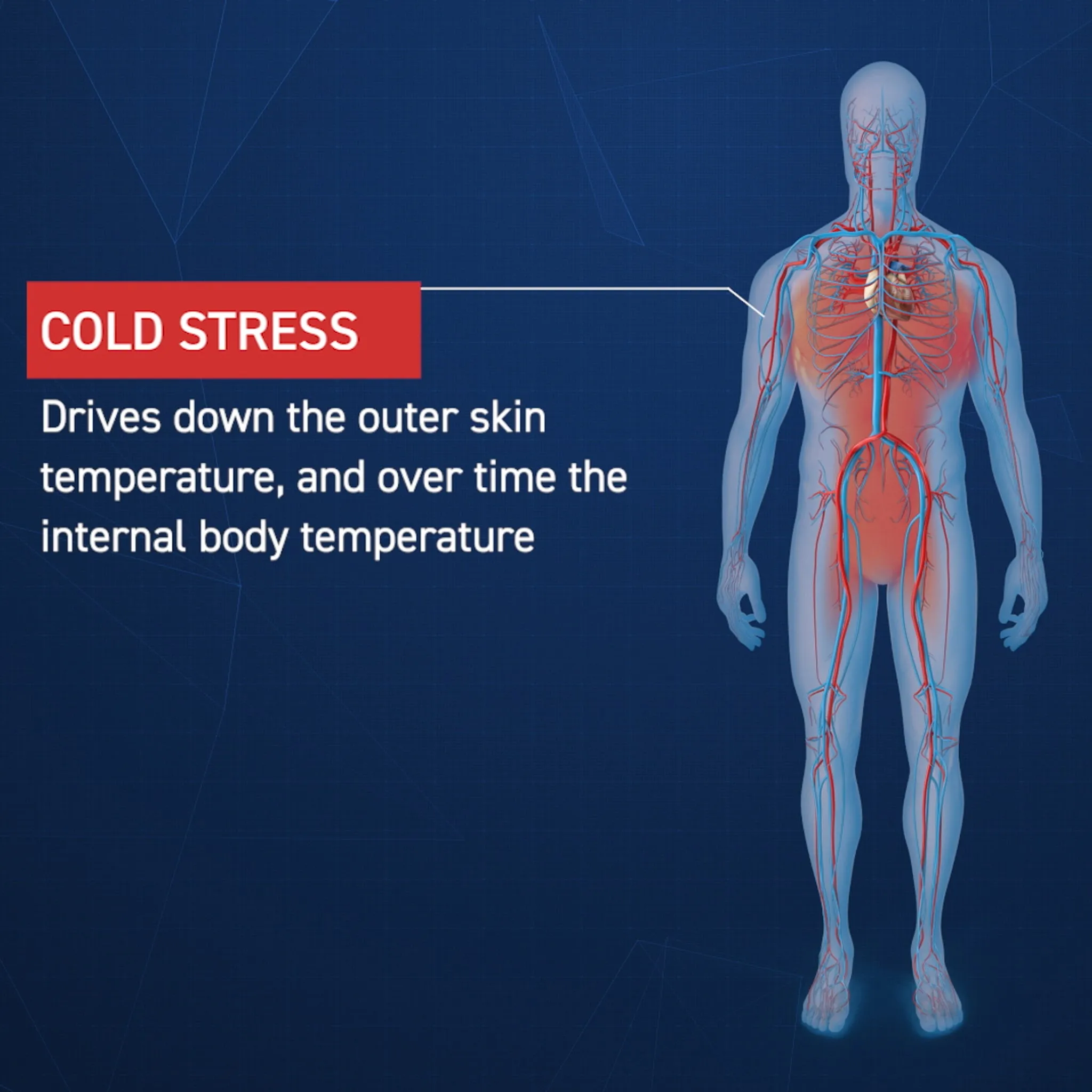 Cold Stress Training: Working Safely in Cold Weather Environments