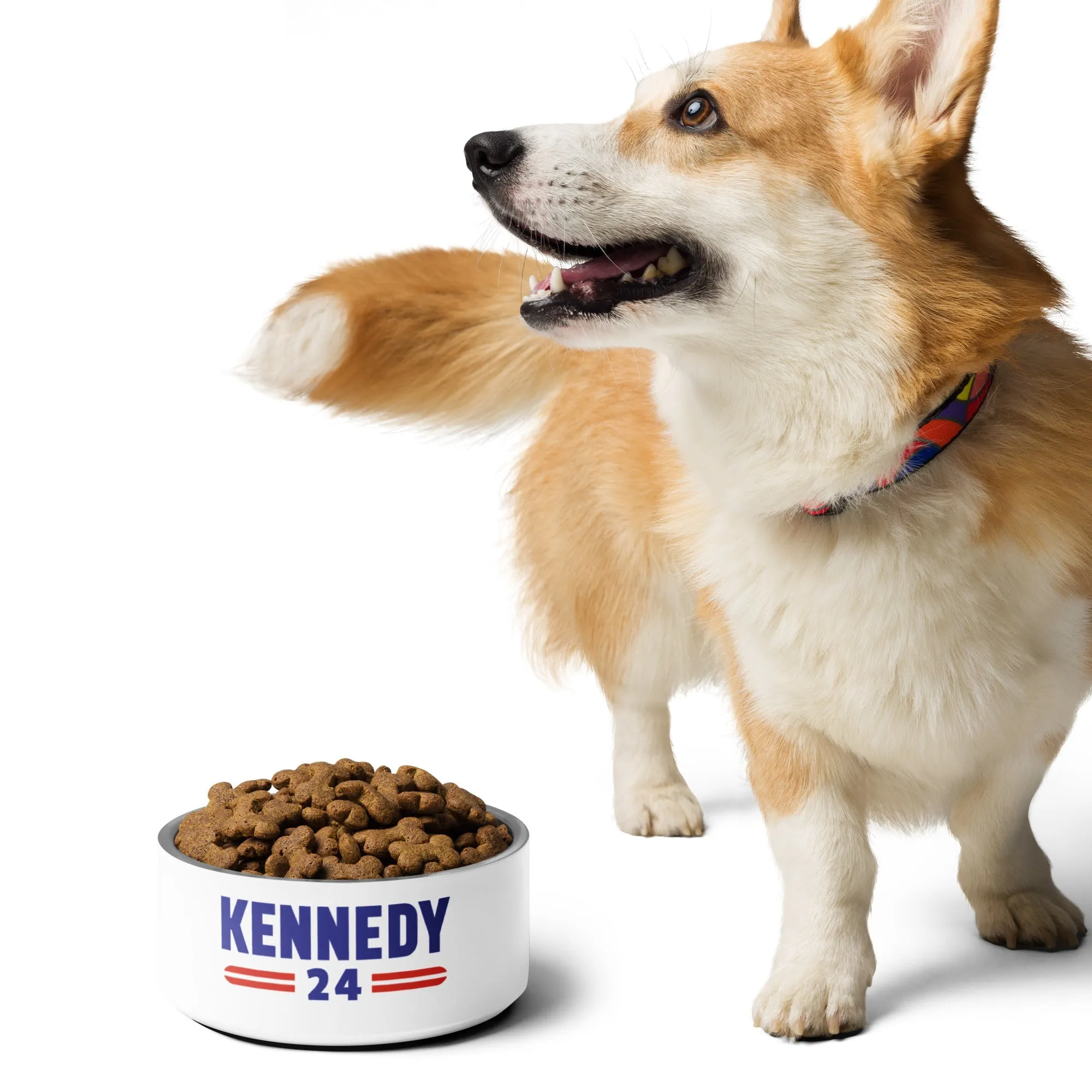 Kennedy Classic Stainless Steel Pet Bowl