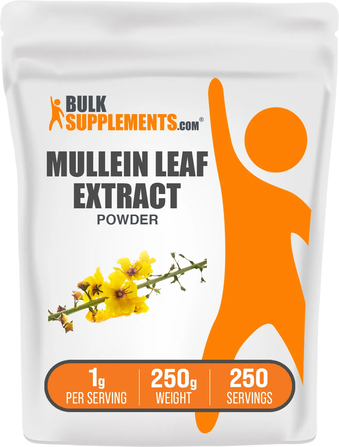 Mullein Leaf Extract Powder