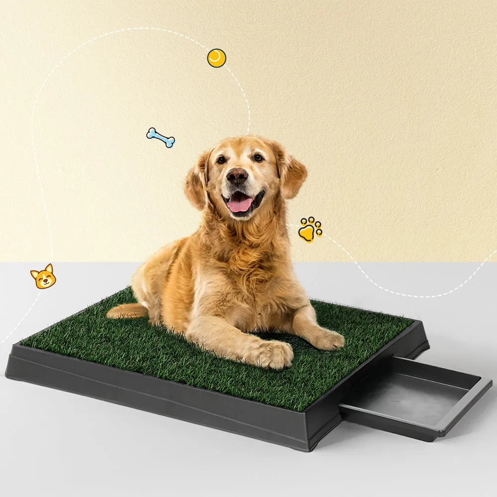 Odorless 3-Layer Dog Potty Training Pad w/ Tray i.Pet