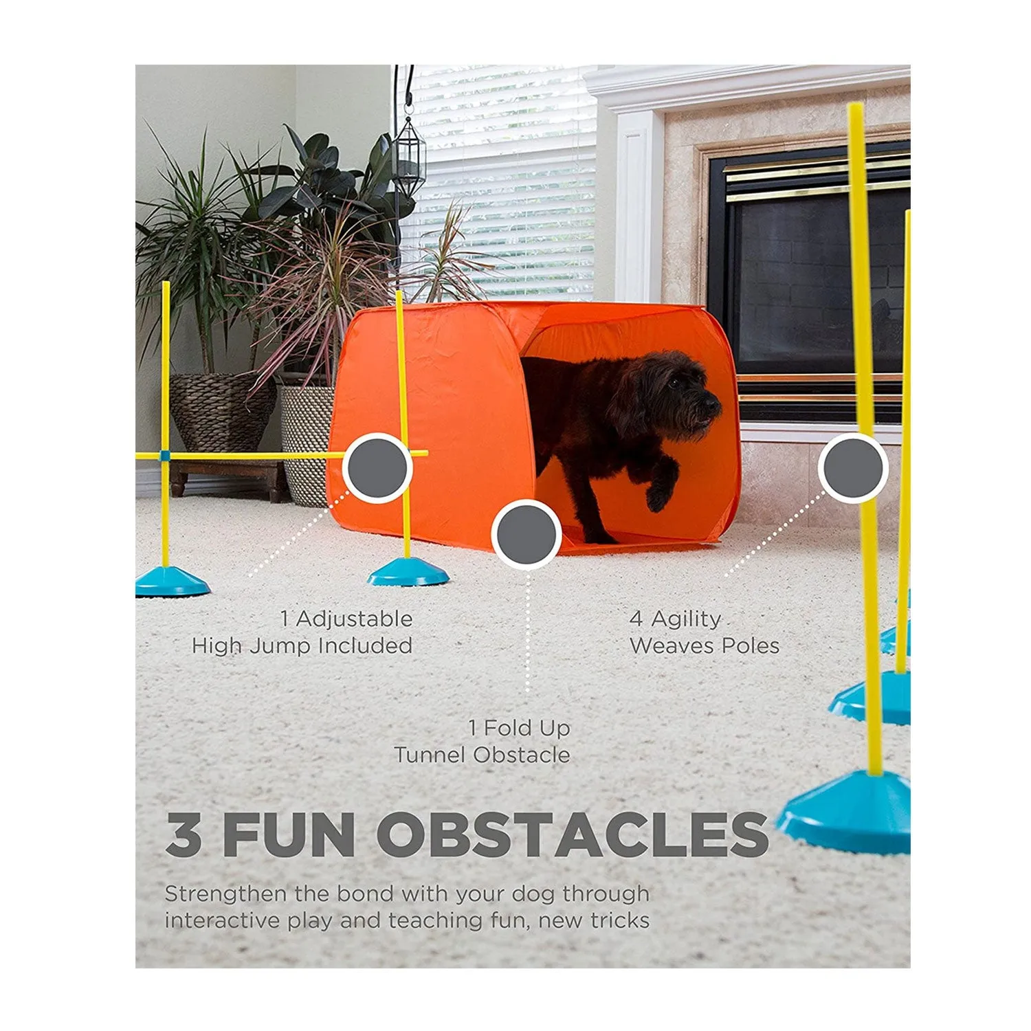 Outward Hound Zip & Zoom Indoor Dog Agility Training Kit