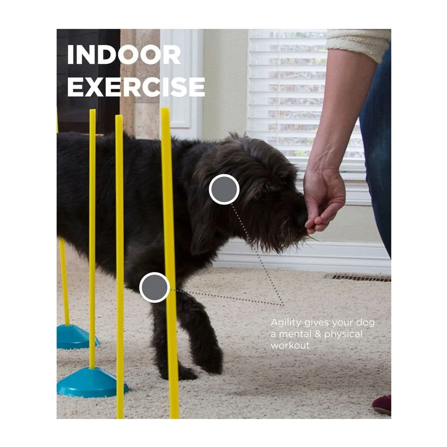 Outward Hound Zip & Zoom Indoor Dog Agility Training Kit