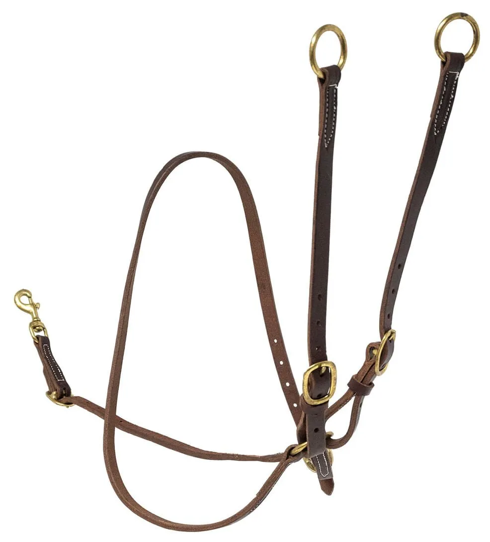 Poplar Head Premium Oiled Harness Leather Training Martingale