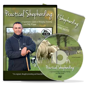 Practical Shepherding DVD by Nij Vyas