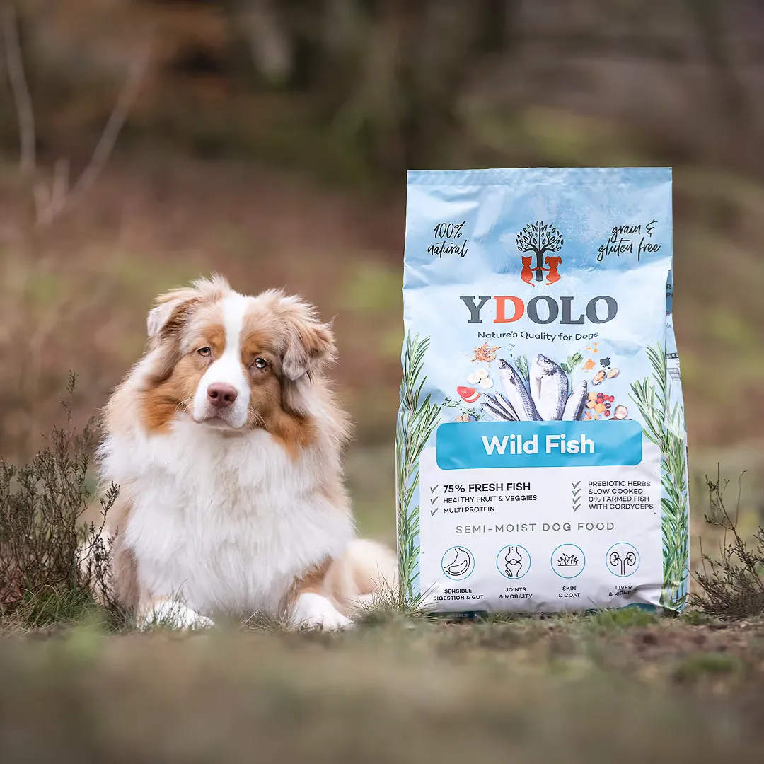 Ydolo Wild Fish Semi Moist Cold Pressed Dog Food