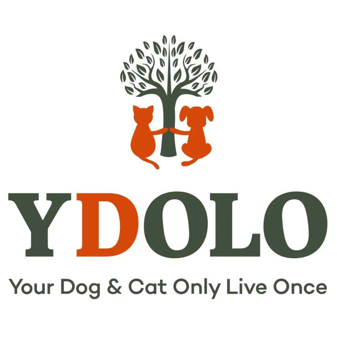 Ydolo Wild Fish Semi Moist Cold Pressed Dog Food